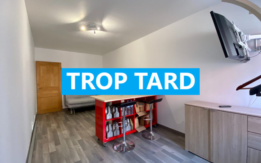 LILLE ST MAURICE T1 MEUBLE 20m2
