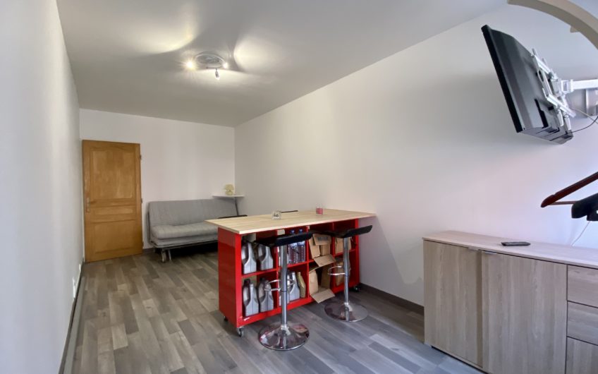 LILLE ST MAURICE T1 MEUBLE 20m2