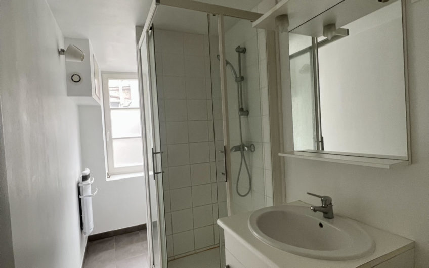 LILLE HYPER CENTRE RIHOUR T2BIS 52m2