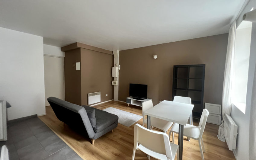 LILLE HYPER CENTRE RIHOUR T2BIS 52m2