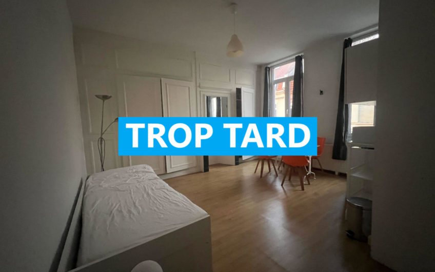 LILLE ST MAURICE/GARES T1 24m2