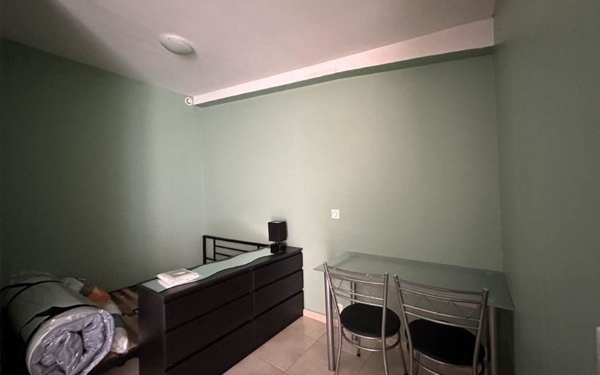LILLE CHR Limite LOOS T1 19,75m2