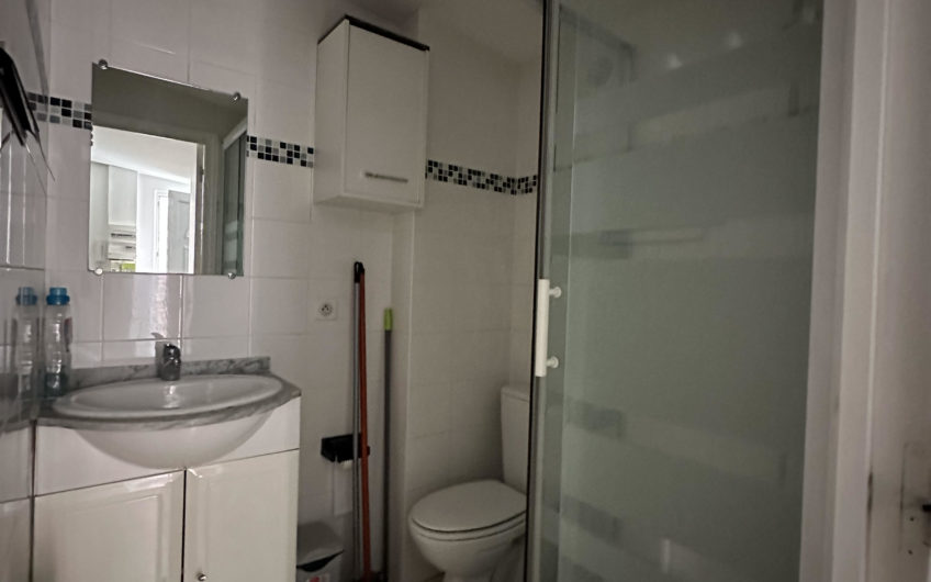 LILLE CHR Limite LOOS T1 19,75m2