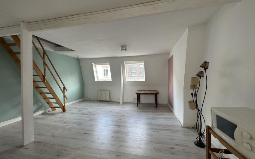 LILLE GAMBETTA T2 58m2