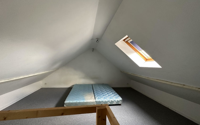 LILLE GAMBETTA T2 58m2