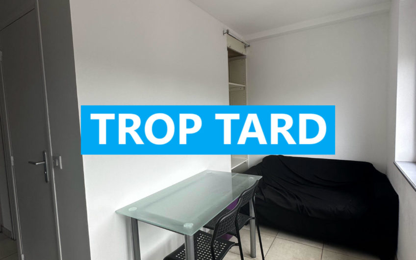 LILLE CHR/LIMITE LOOS T2BIS 35m2