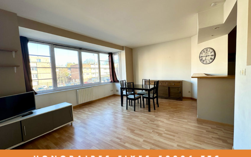 LILLE ST MAURICE / LA MADELEINE T2 48m2