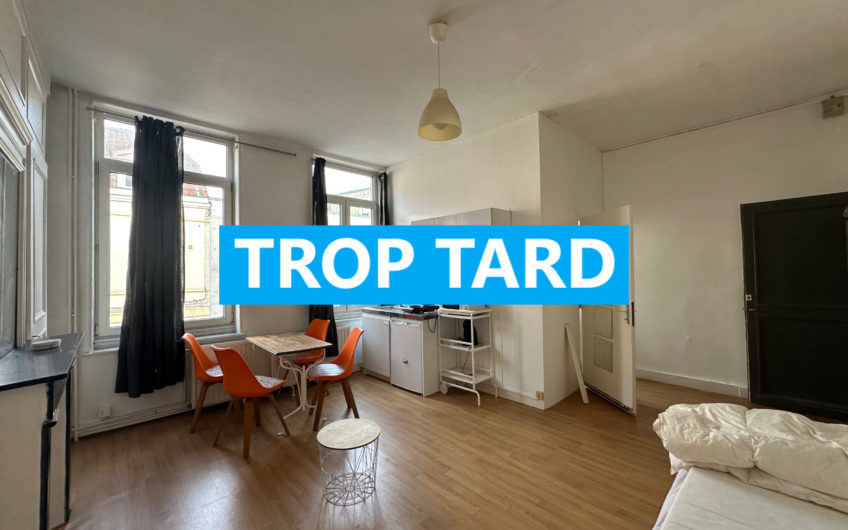 LILLE GARES/ST MAURICE T1 25m2