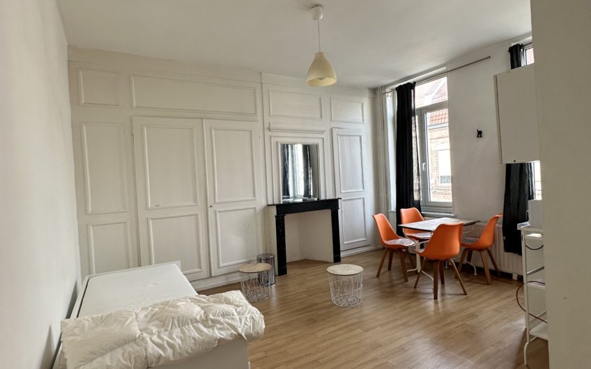 LILLE GARES/ST MAURICE T1 25m2