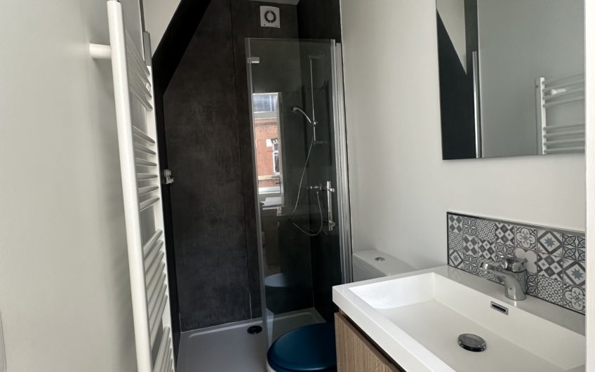 LILLE CHR COLOCATION CHAMBRE DANS MAISON avec extérieur
