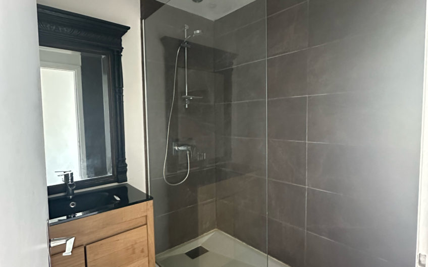 LILLE BOIS BLANC/Citadelle T3 60m2