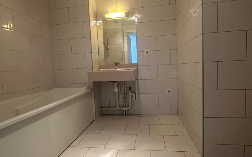 LILLE Moulins/Bld Victor Hugo T3 75m2