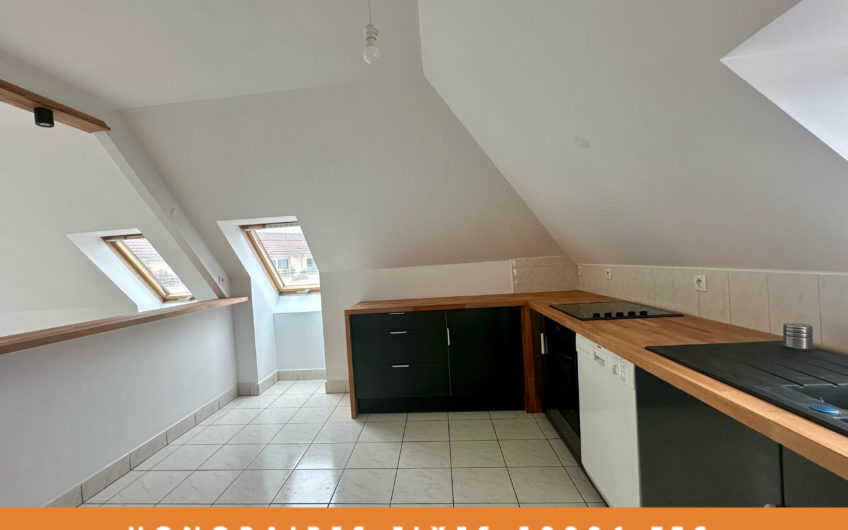 LILLE Vauban/Esquermes T4 90m2 Balcon & Garage