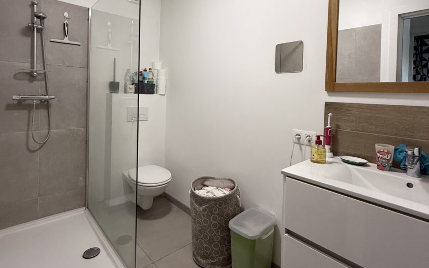 VILLENEUVE D’ASCQ T2 bis 47m2